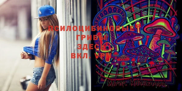 крисы Лагань