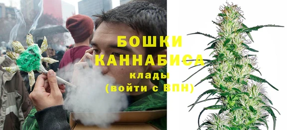 крисы Лагань