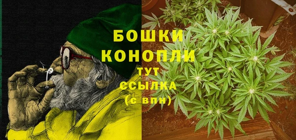 крисы Лагань
