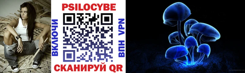 Псилоцибиновые грибы мицелий  Купить где  Андреаполь 