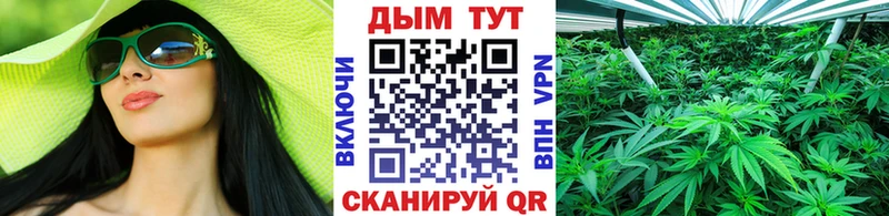 Каннабис SATIVA & INDICA  Купить закладки  Андреаполь 